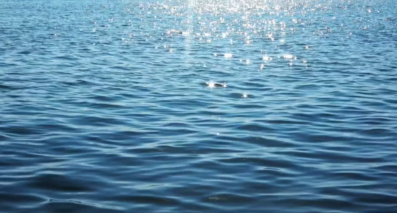 Sunlight sparkles off of calm ocean surface waters 